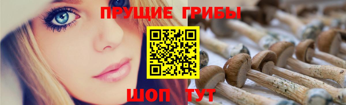 Галлюциногенные грибы прущие грибы  Галлюциногенные грибы Magic Shrooms  Вход с VPN  Выборг 